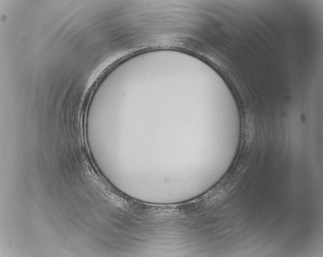 X0000051910886200507152028