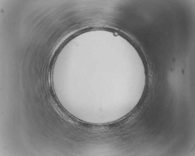 X0000051910887200507152028