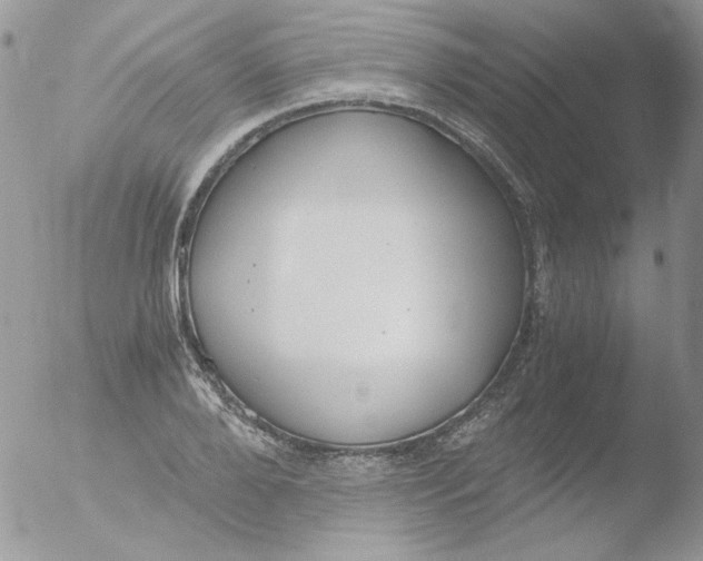 X0000051910888200507152028