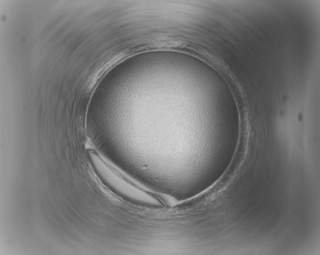 X0000051910889200507152028