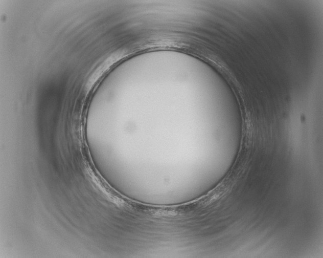 X0000051910890200507152028