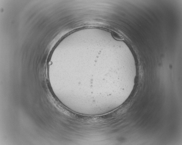 X0000051910891200507152028