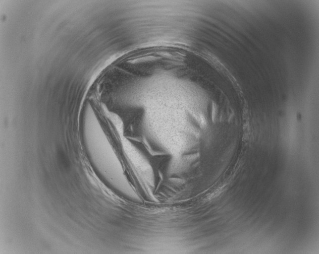 X0000051910892200507152028