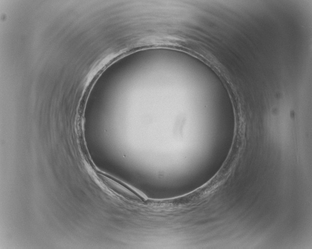 X0000051910893200507152028