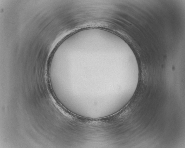 X0000051910894200507152028