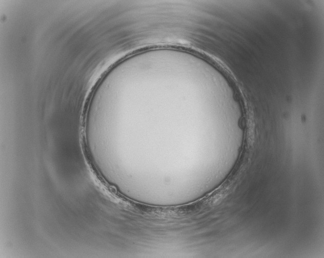 X0000051910895200507152028