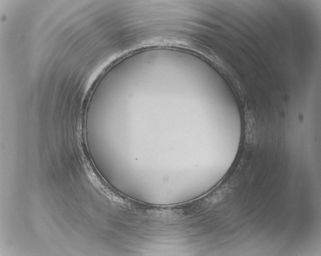 X0000051910896200507152028