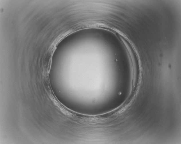 X0000051910897200507152028