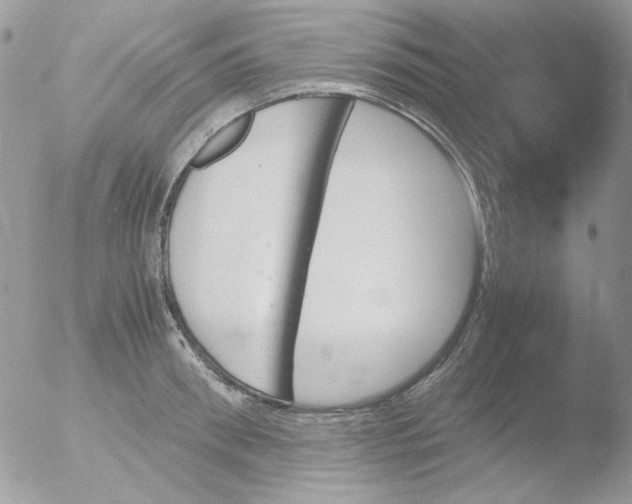 X0000051910898200507152028