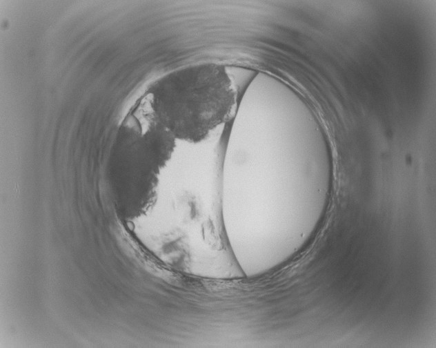 X0000051910899200507152028