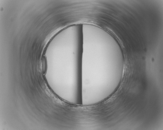 X0000051910900200507152028