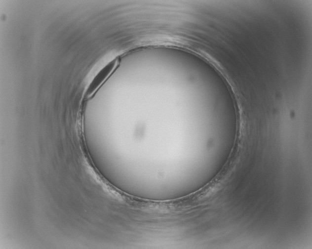 X0000051910901200507152028