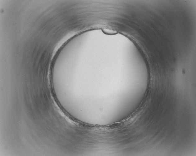 X0000051910902200507152028