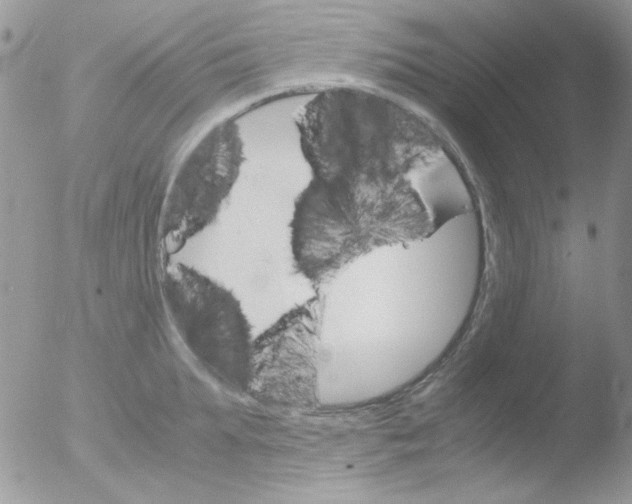 X0000051910903200507152028