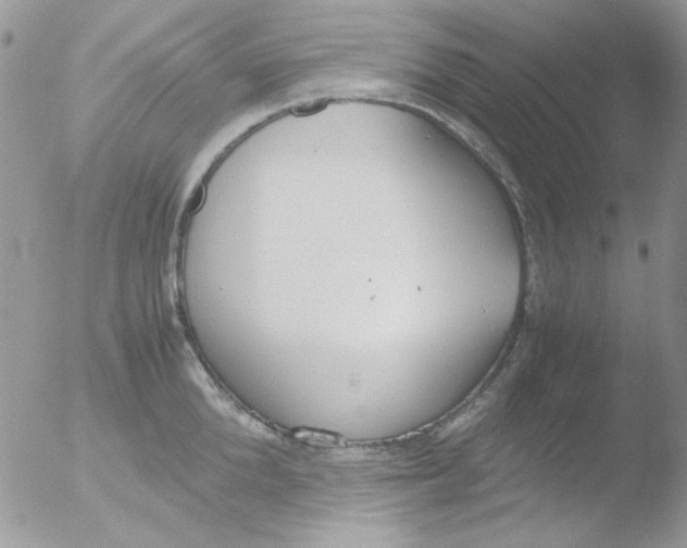 X0000051910904200507152028