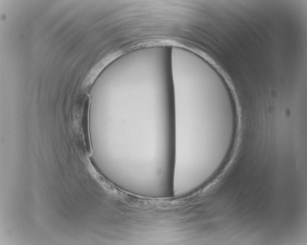 X0000051910905200507152028