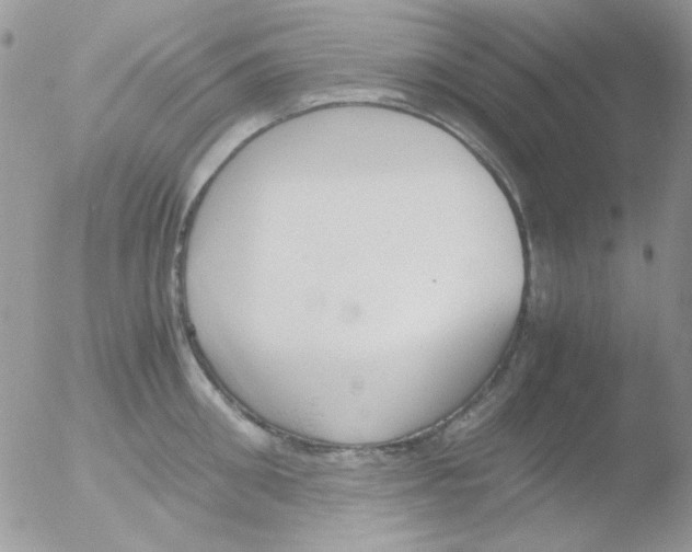 X0000051910906200507152028