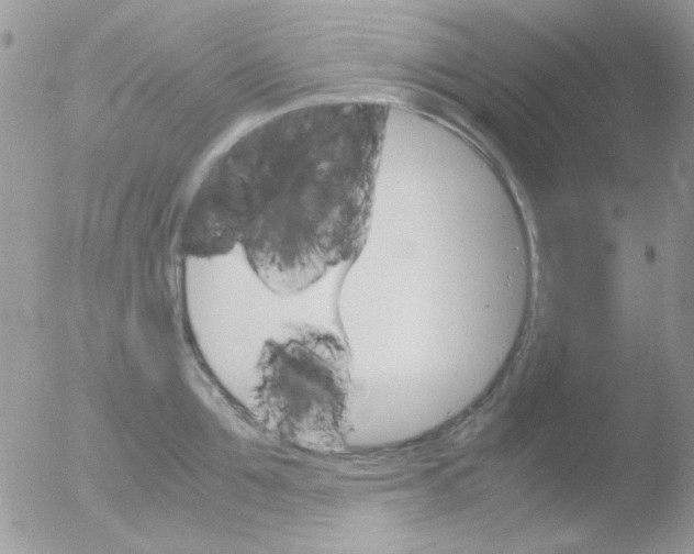 X0000051910907200507152028