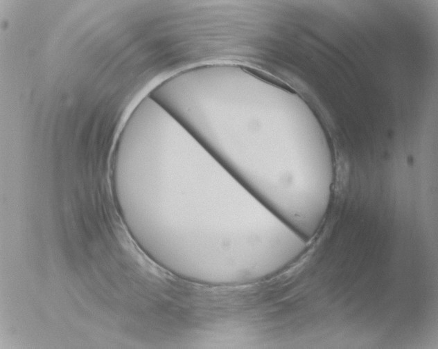 X0000051910908200507152028