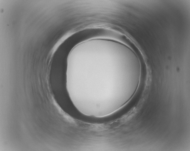 X0000051910909200507152027