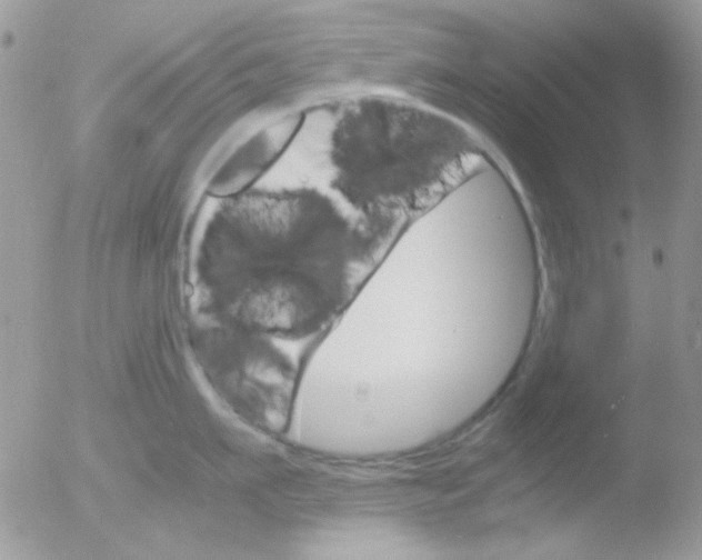 X0000051910911200507152027