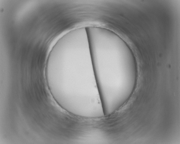 X0000051910912200507152027