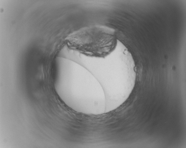 X0000051910913200507152027