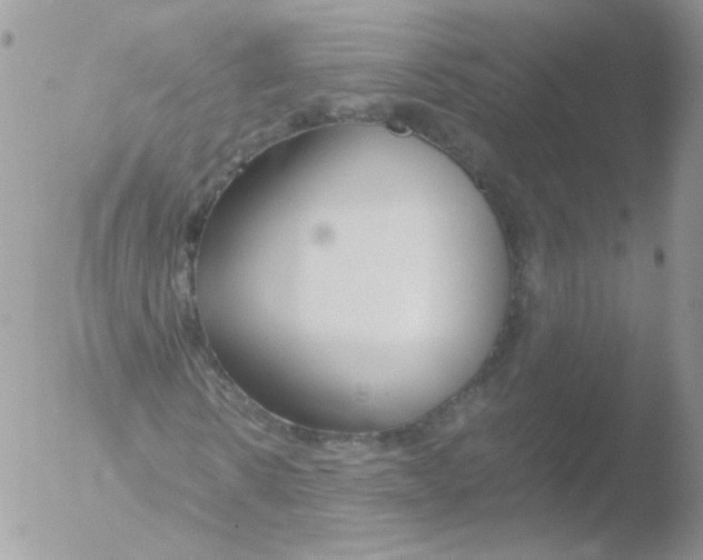 X0000051910914200507152027