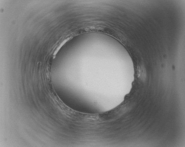 X0000051910915200507152027