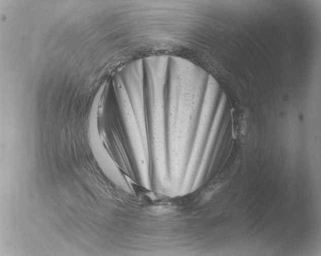 X0000051910916200507152027