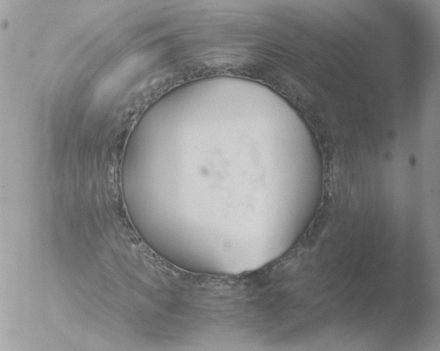 X0000051910917200507152027