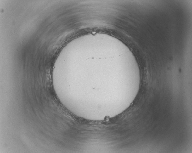 X0000051910918200507152027