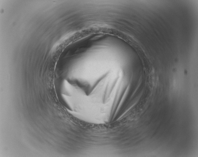 X0000051910919200507152027