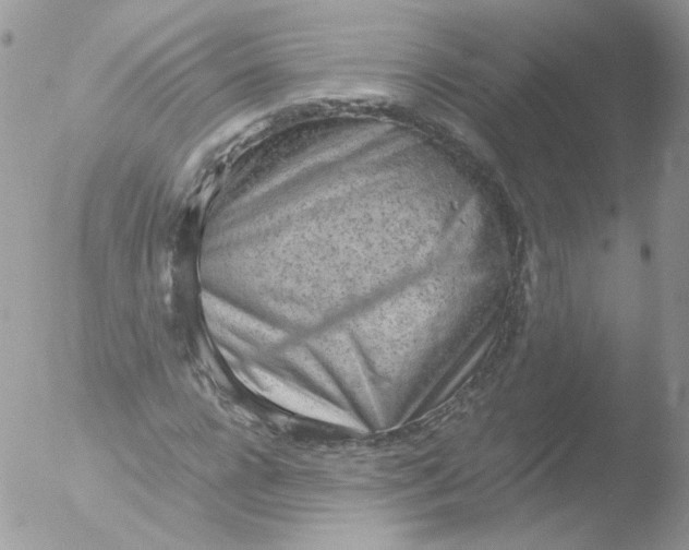 X0000051910920200507152027