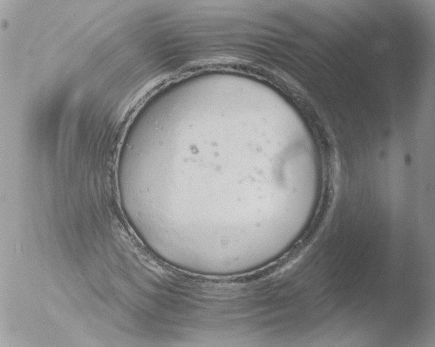 X0000051910921200507152027