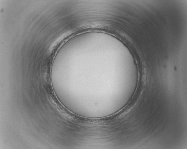 X0000051910922200507152027