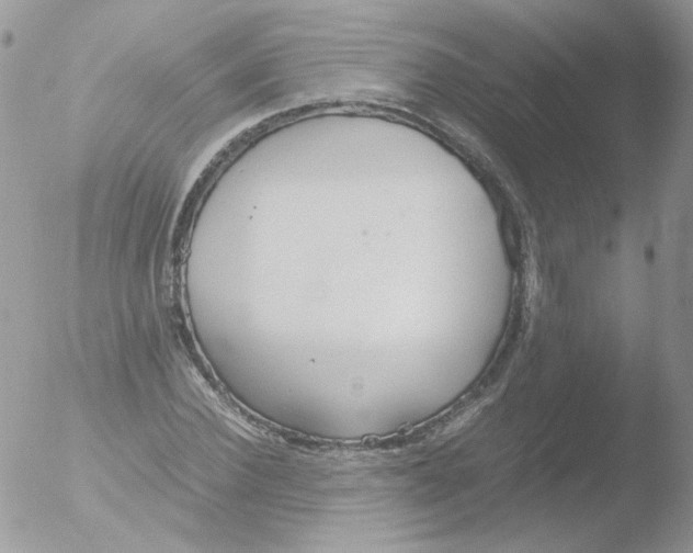 X0000051910924200507152027