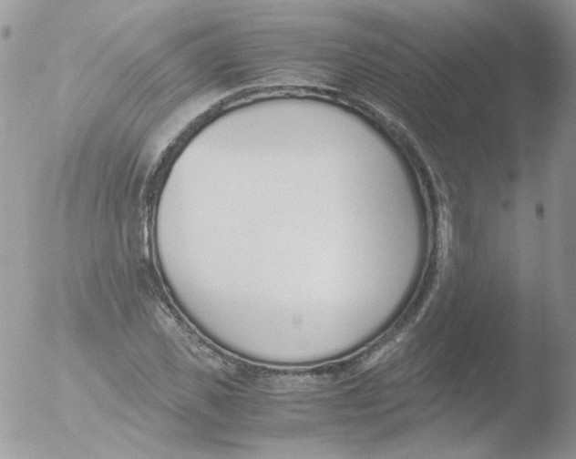 X0000051910925200507152027