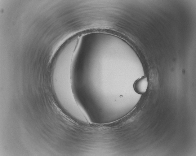 X0000051910926200507152027