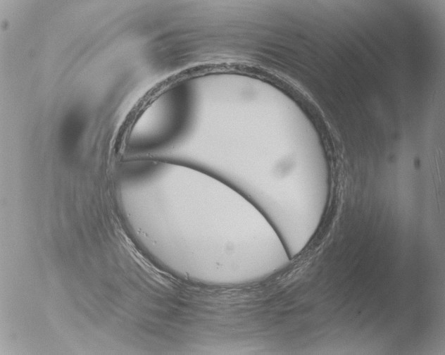 X0000051910927200507152027