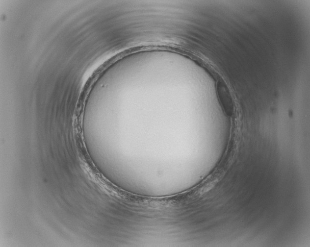 X0000051910928200507152027