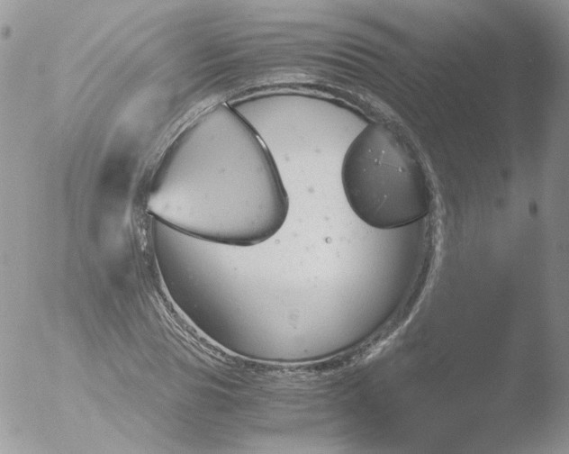 X0000051910929200507152027