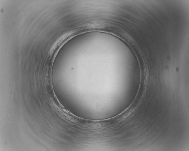 X0000051910930200507152027