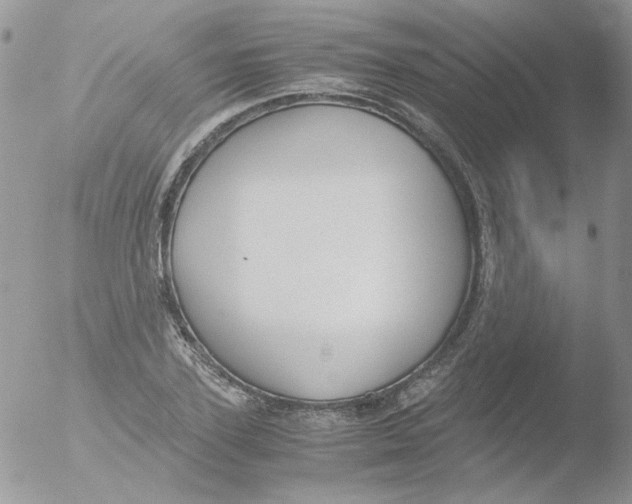 X0000051910931200507152027