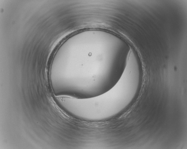 X0000051910932200507152027