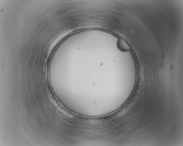 X0000051910933200507152027