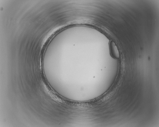 X0000051910934200507152027