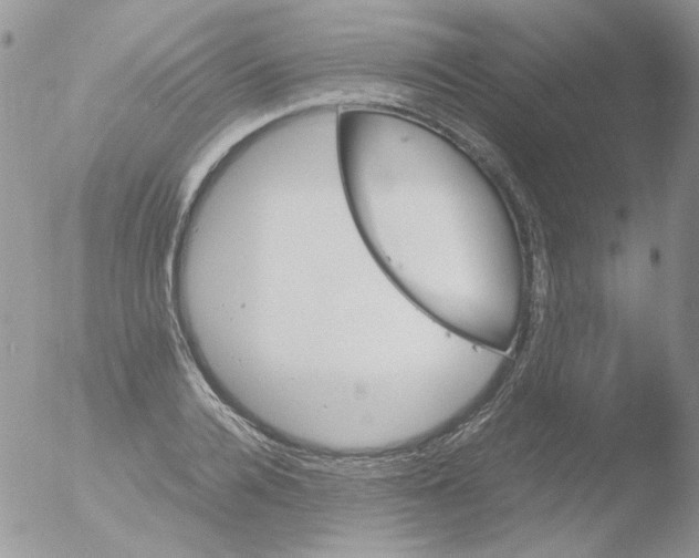 X0000051910936200507152027