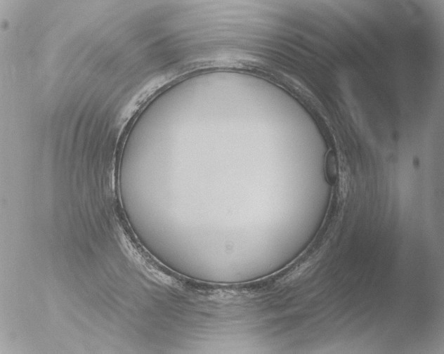 X0000051910938200507152027