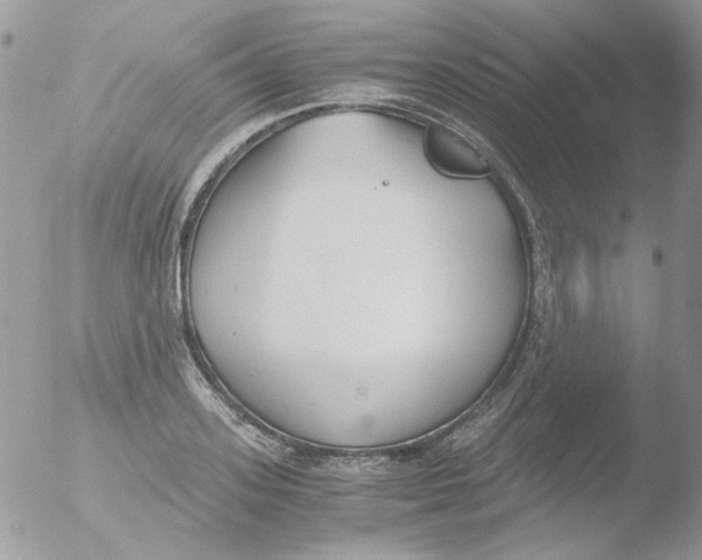 X0000051910939200507152027